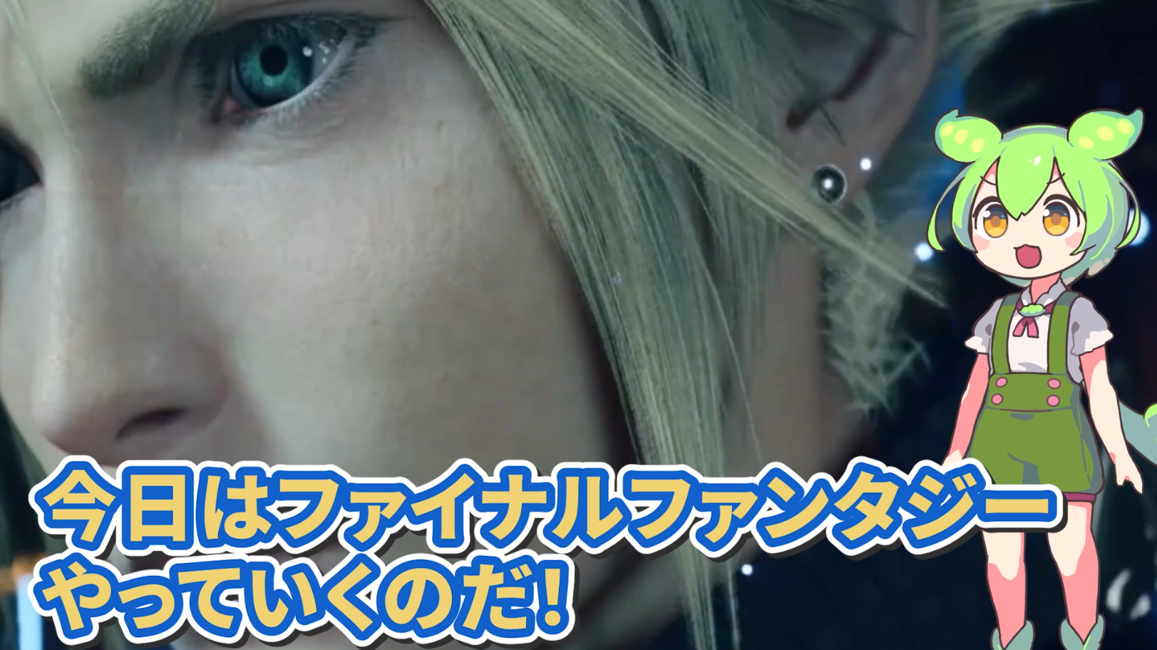 動画